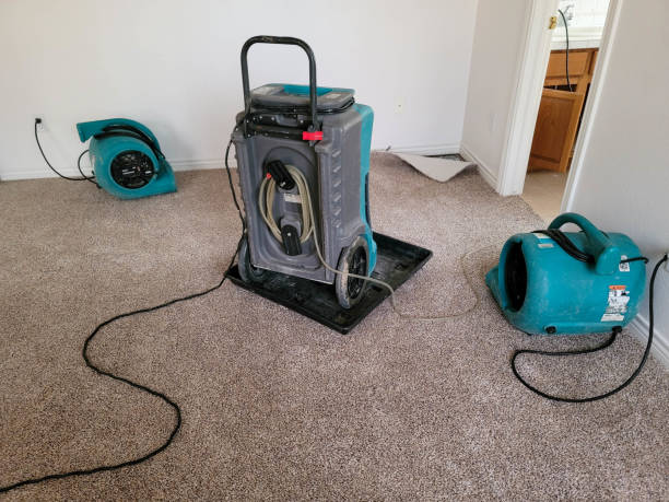Best Professional water damage repair  in Crown Heights, NY