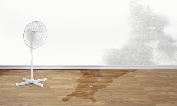 Best Water damage restoration cost  in Crown Heights, NY