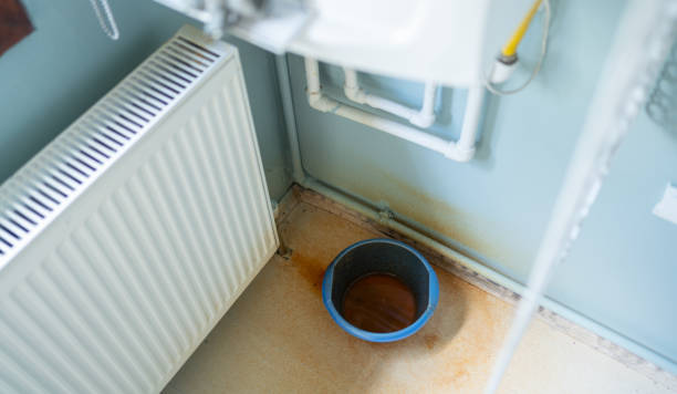 Trusted Crown Heights, NY Water damage restoration Experts