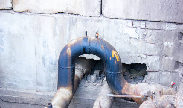 Best Water damage contractors near me  in Crown Heights, NY